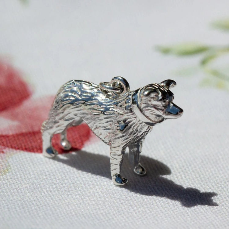 Border Collie - MYLEE London