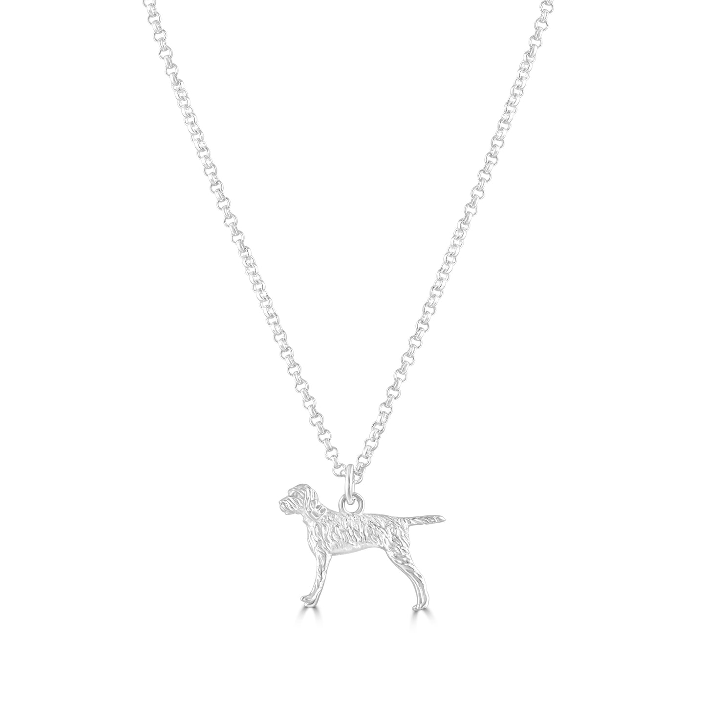 Vizsla Silver Necklace - Personalised