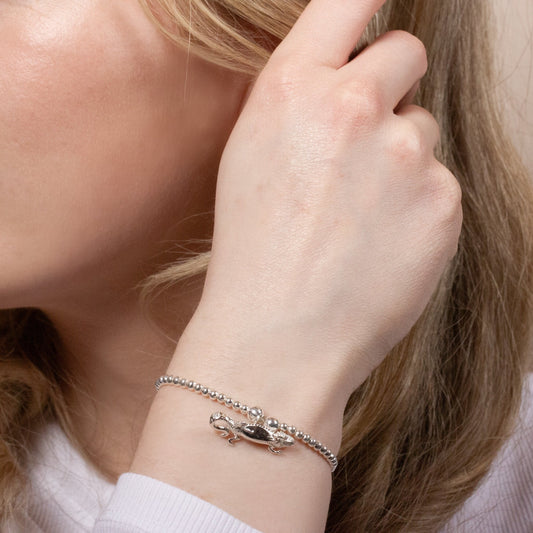 Bearded Dragon Silver Ball Bead Bracelet - Personalised - MYLEE London