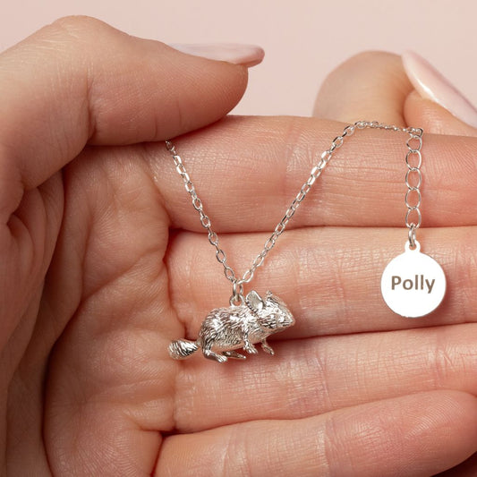 Chinchilla Silver Necklace - Personalised - MYLEE London