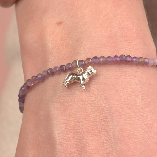 Pitbull Crystal Bracelet - Personalised - MYLEE London